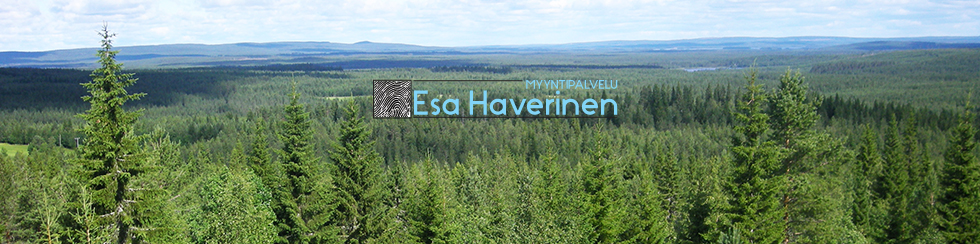 Esa Haverinen - Elementtirakenteiset pienrakennukset